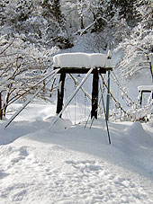 雪の庭