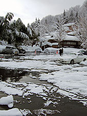 雪の庭