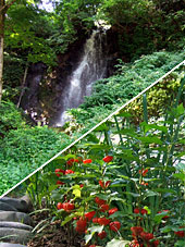 新潟 温泉