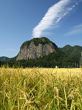 新潟 温泉