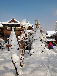 初除雪