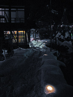 初雪蛍