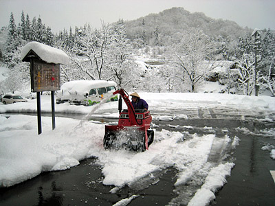 春の雪