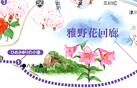 雅野花回廊