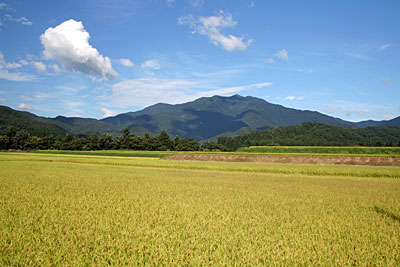 粟ヶ岳